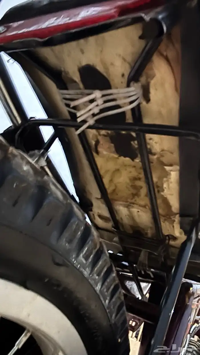 للبيع رامبو عنابي صيني درجه أولى (الاصلي) 5