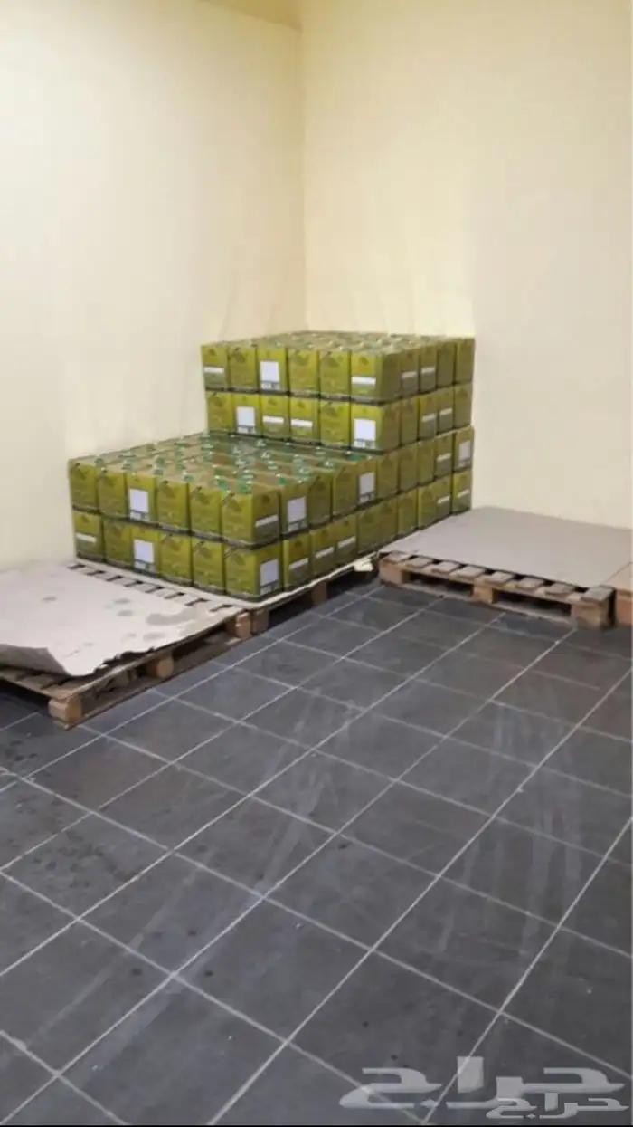 زيت زيتون بسيطا معصرة الجريد عصرة جديدة 1447ه 7