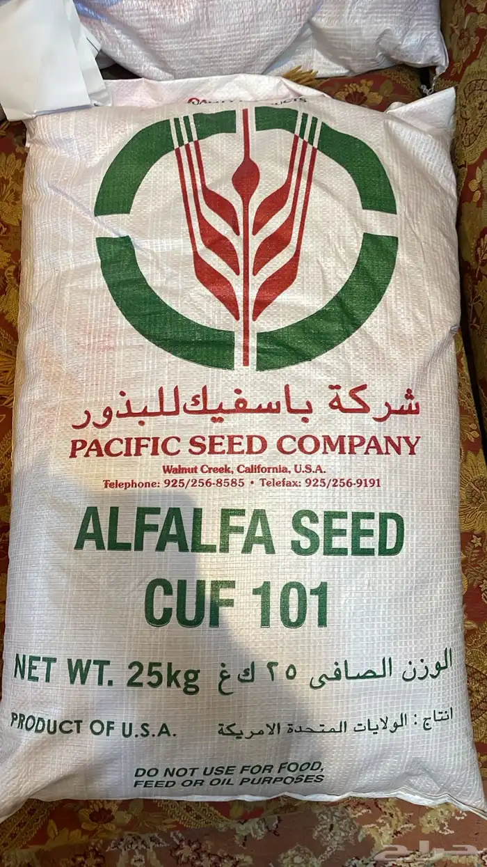 بذر برسيم باسفيك كاف 101 امريكي 2