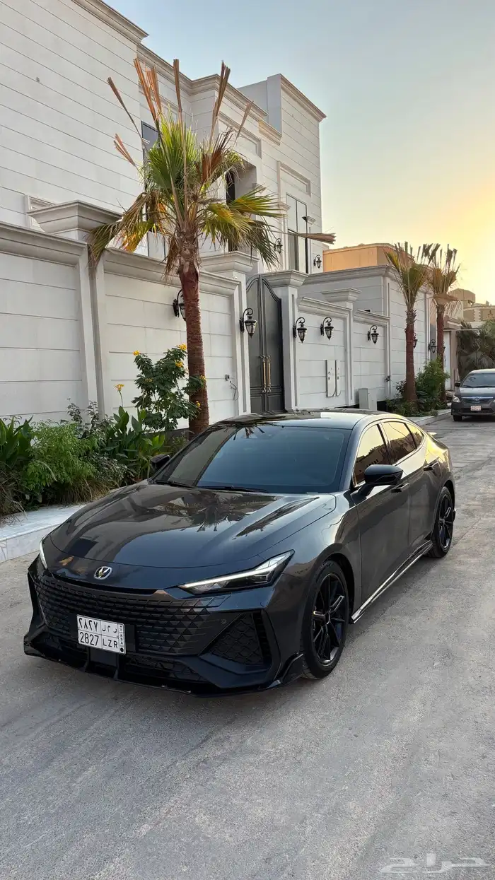 شانجان يوني في 2025 سبورت للبيع 5