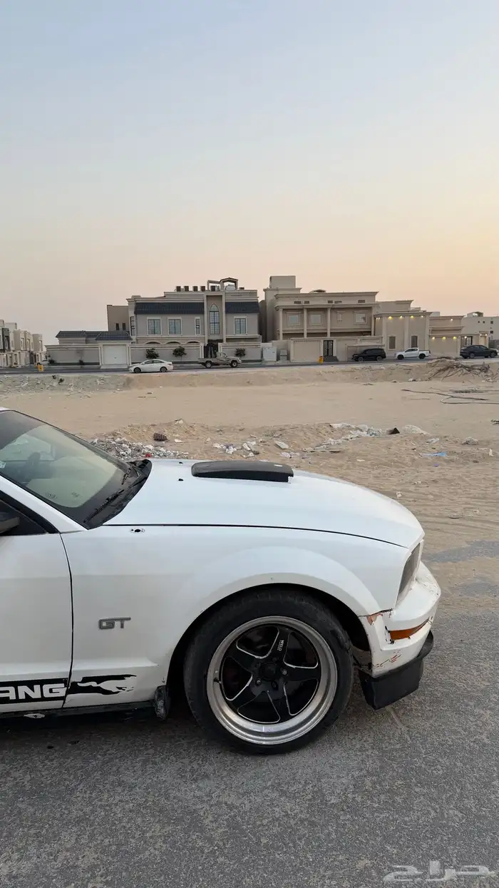 للبيع موستنج GT 2006 5