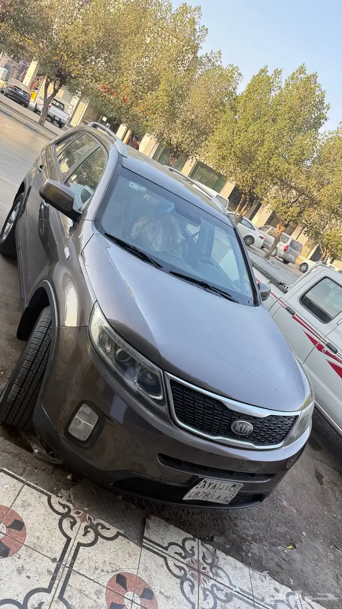 سورنتو موديل 2013 10