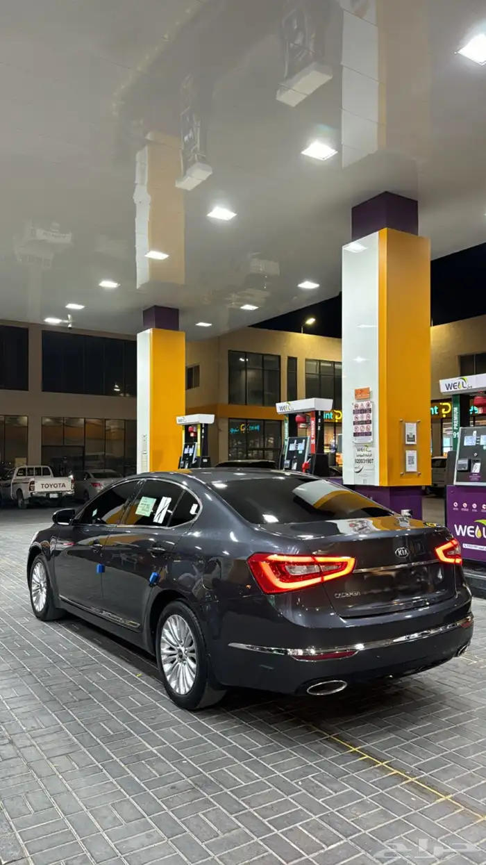 كادينزا 2014 9