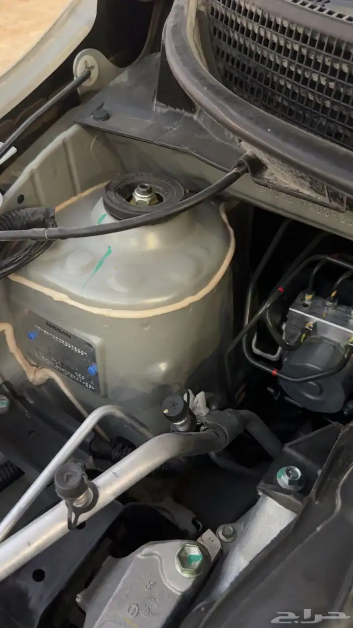 صني فل كامل 2024 16