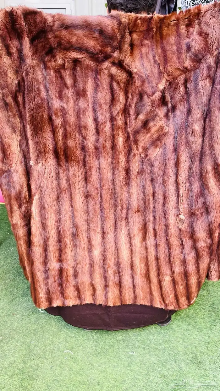 طفيلي فروة جلد طبيعي عرض خاص 37