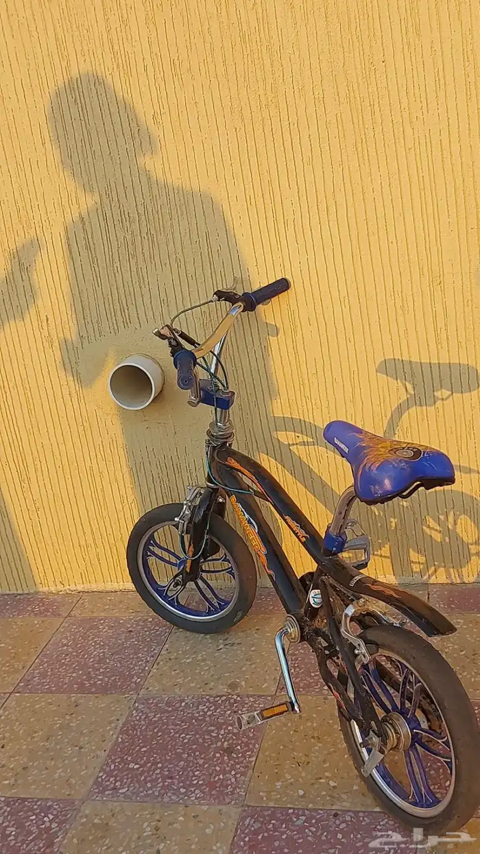 سيكل كوبرا علا كلام راعيه 3