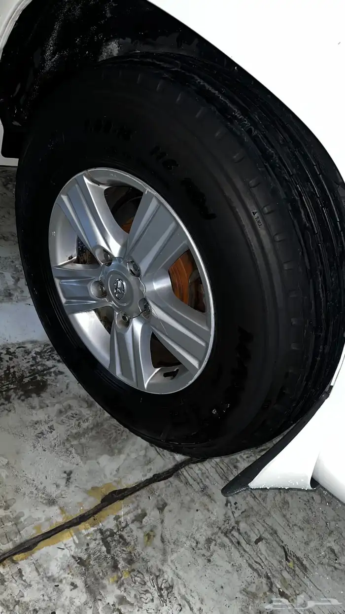 بوالين ماكسس جنط 18 2