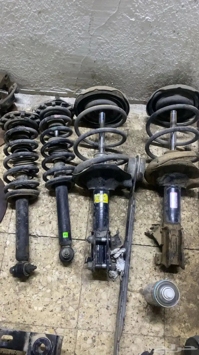 مكسيما تشليح 6