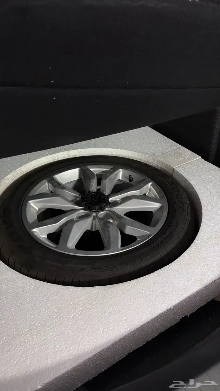 امبالا وكاله 2018 25