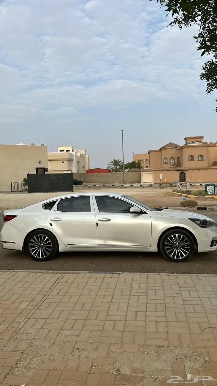 كادينزا 2017 للبيع 3