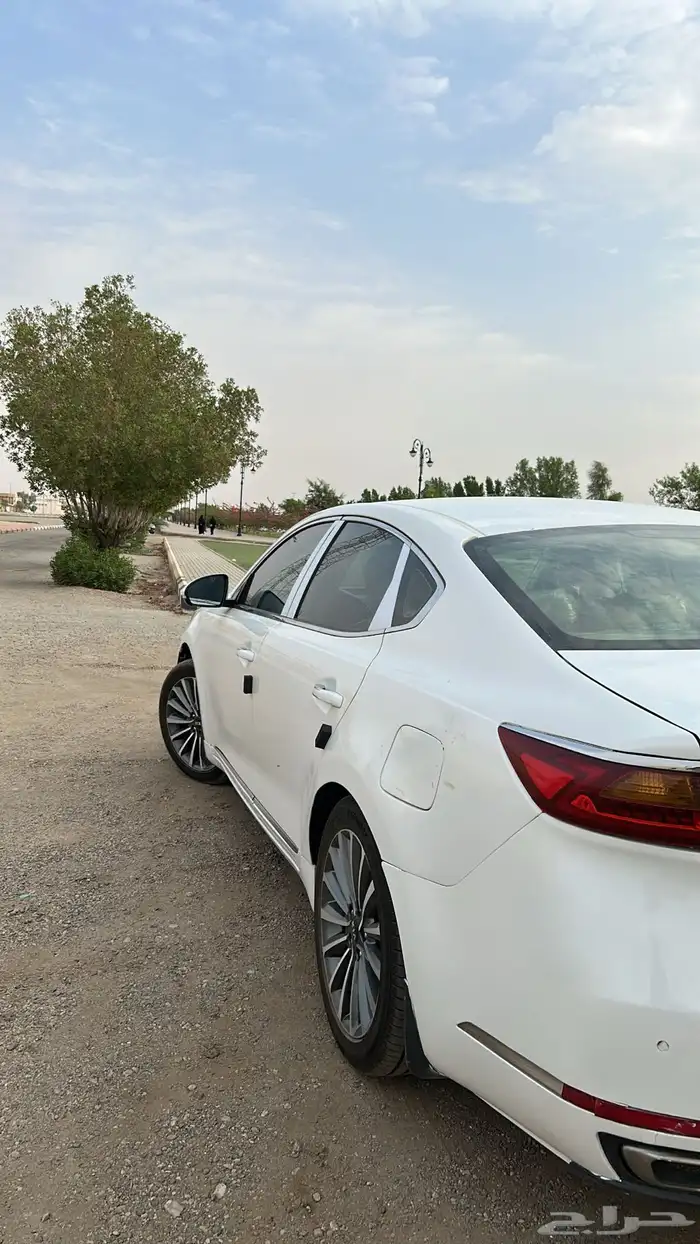 كادينزا 2017 للبيع 6