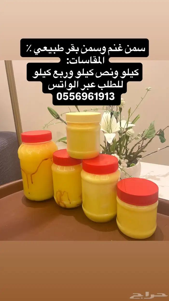 سمن غنم وبقر بشقراء 0