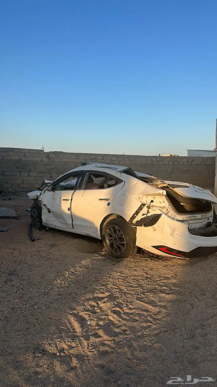 لنتراء 2019 فل 0