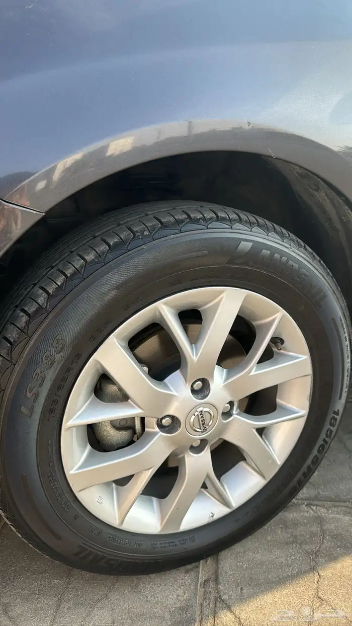 نسيان صني نص فل 2023 9