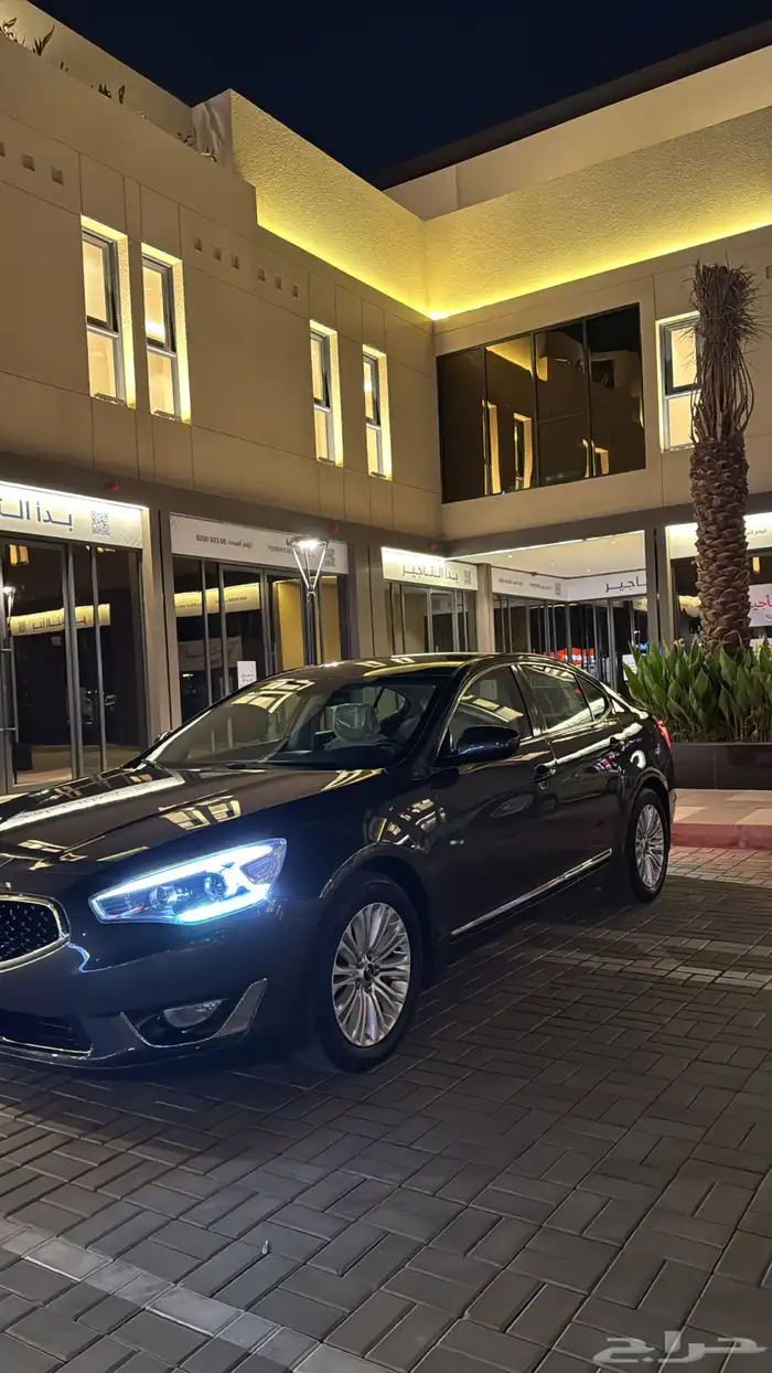 كادينزا 2014 2