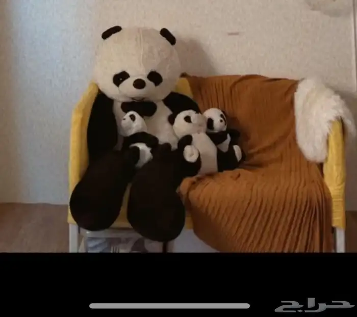 كنب اصفر مقعدين مستعمل وقابل تغير التلبيسة 1