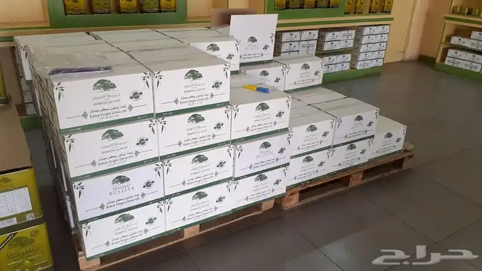 زيت زيتون بسيطا معصرة الجريد عصرة جديدة 1447ه 38