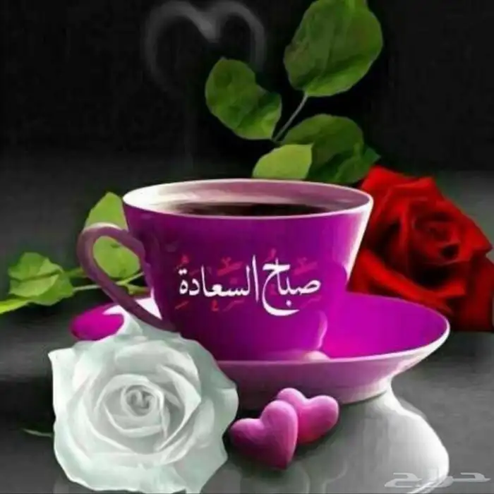 سيارة افلانش. موديل 2007 0