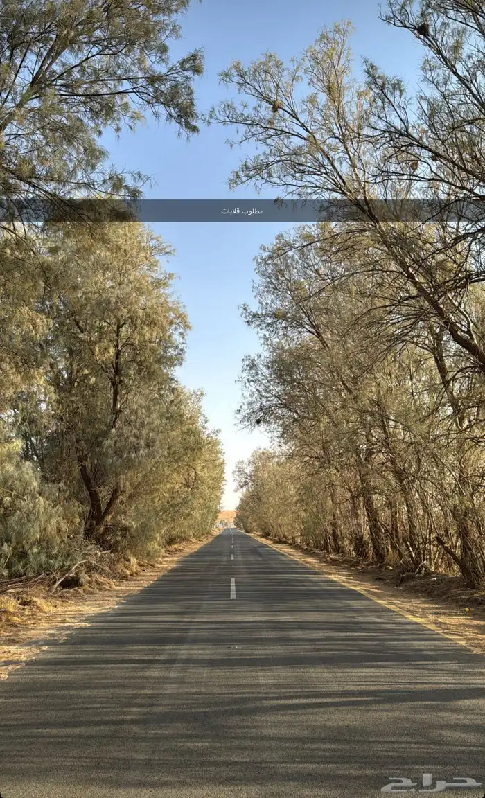 مطلوب قلابات وفنيين 0