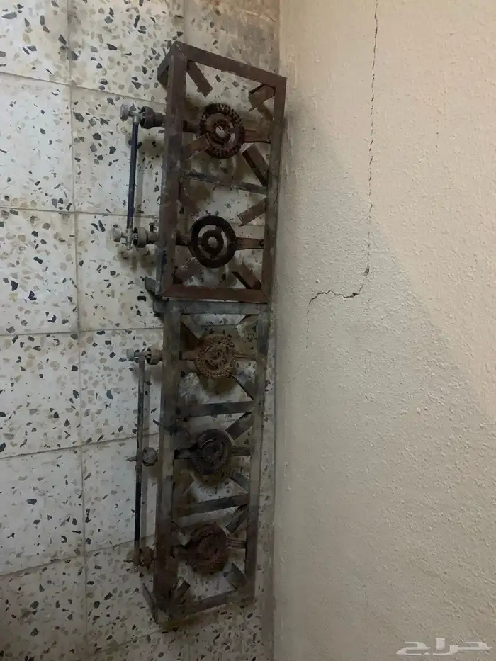 قزوز ثلاث عيون 0