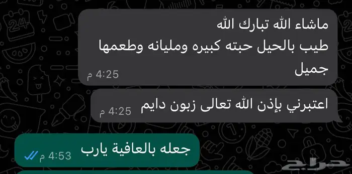 خلاص الخرج حبه وسط مضمود للبيع 9