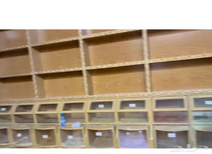 ديكور محل محمصة للبيع عاجل 3