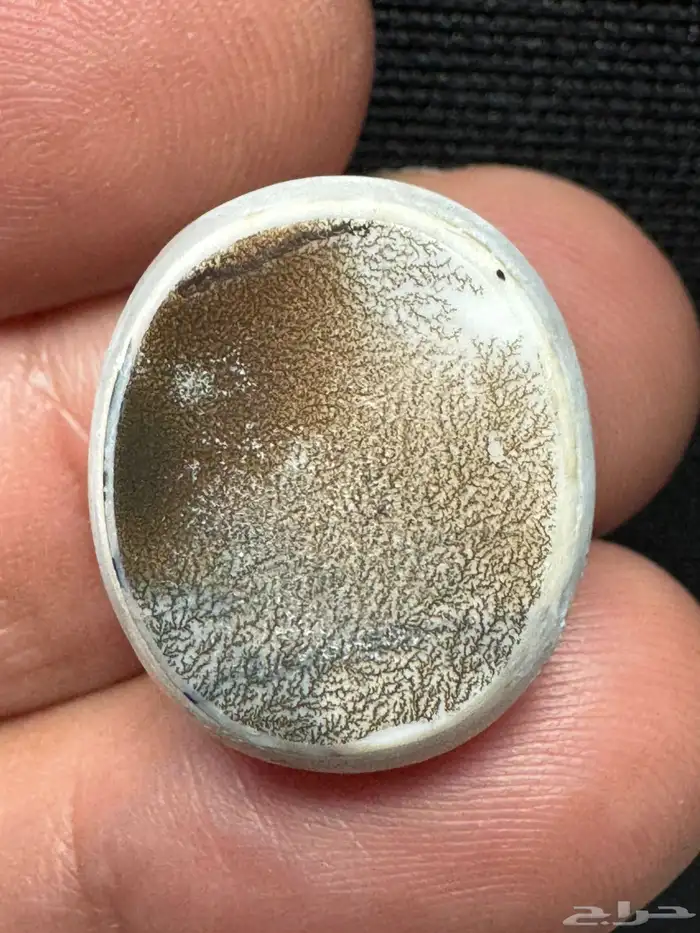 عقيق يماني بقراني شجري نوادر 10