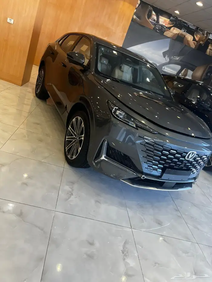 شانجان يوني كي 0