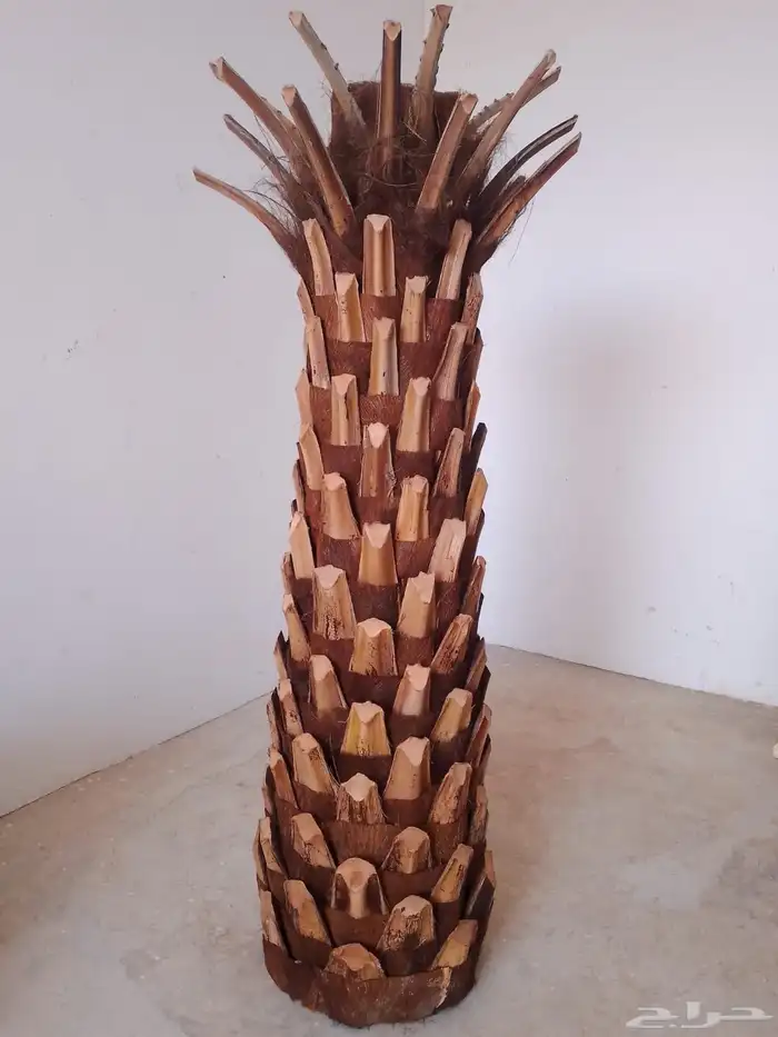 مؤسسه رذاذ جودي للنخل الصناعي متخصصة بتصنيع وتوريد وتركيب 3