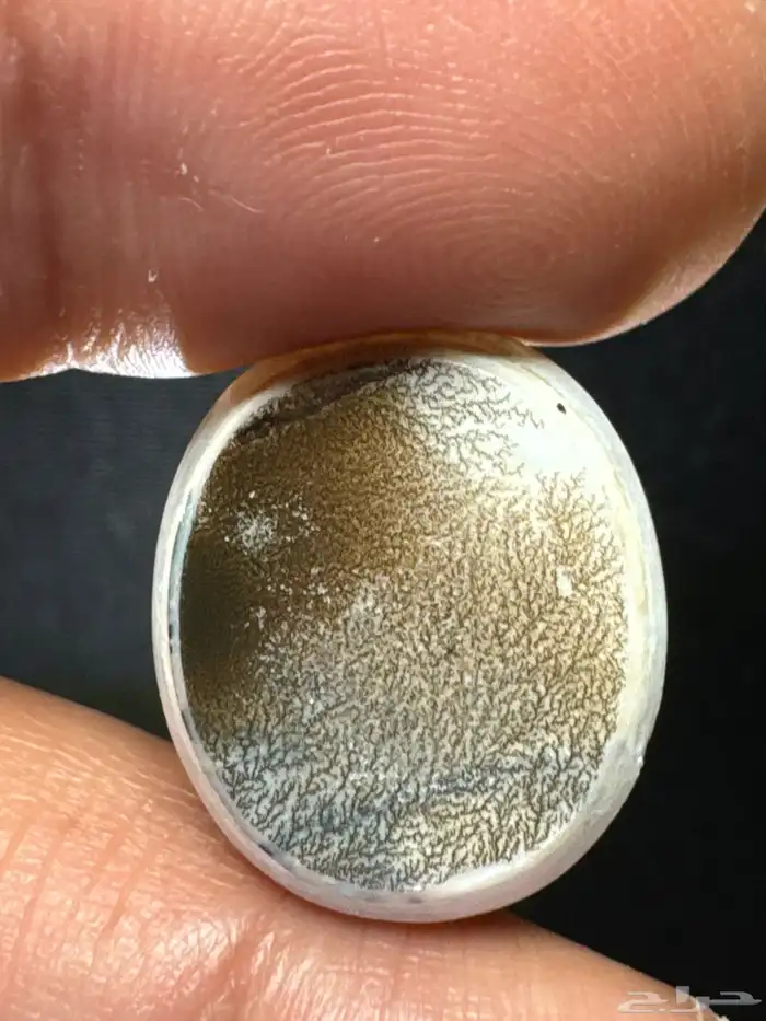 عقيق يماني بقراني شجري نوادر 18