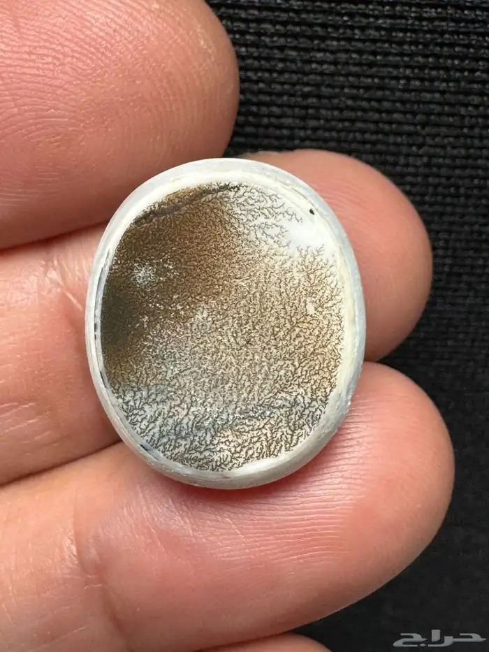 عقيق يماني بقراني شجري نوادر 5