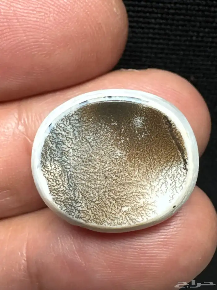 عقيق يماني بقراني شجري نوادر 8