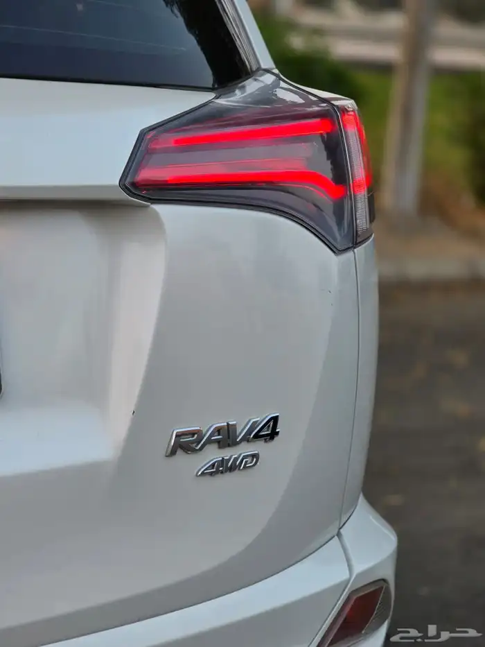 راف فور ستاندر دبل 2017 11