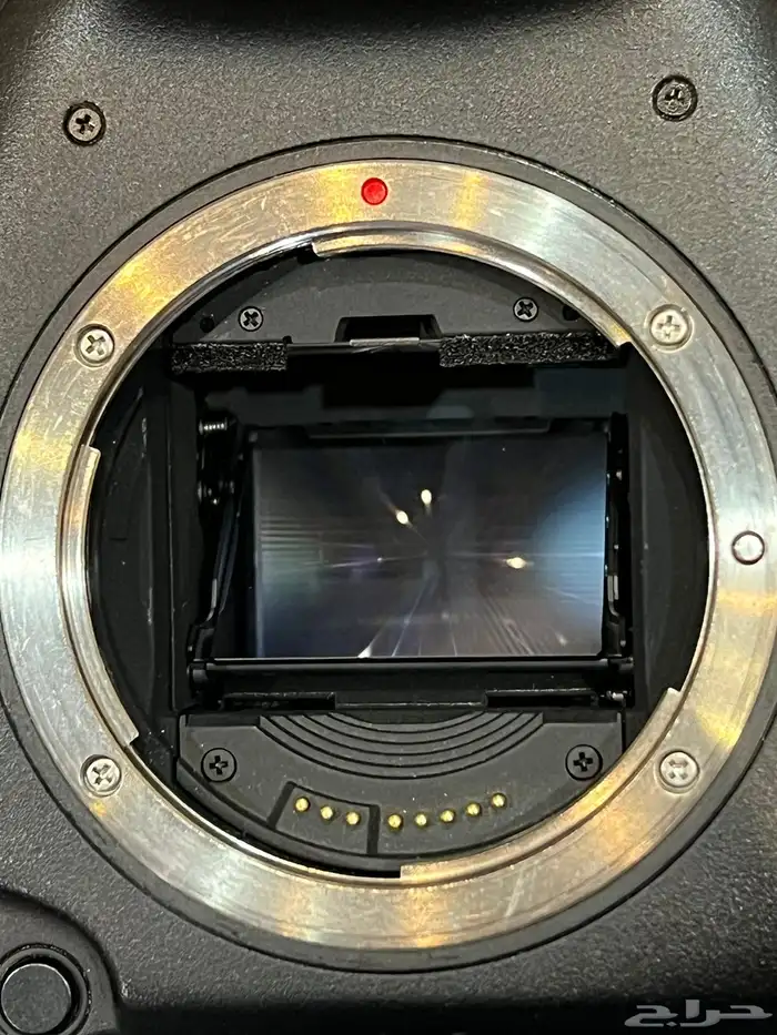 كاميرا كانون 1DX. نضيفه 5