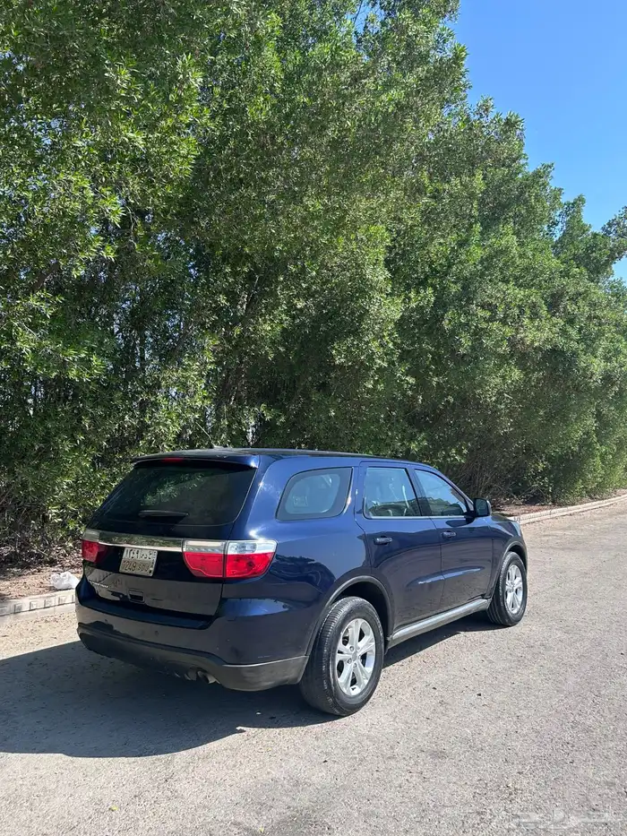 درانجو نظيف 2