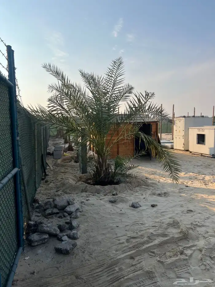 للايجار حوش بمنطقه استراحات مساحة 3000متر 2