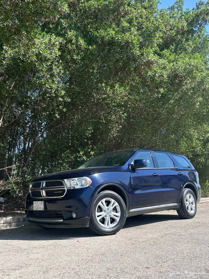 درانجو نظيف 0