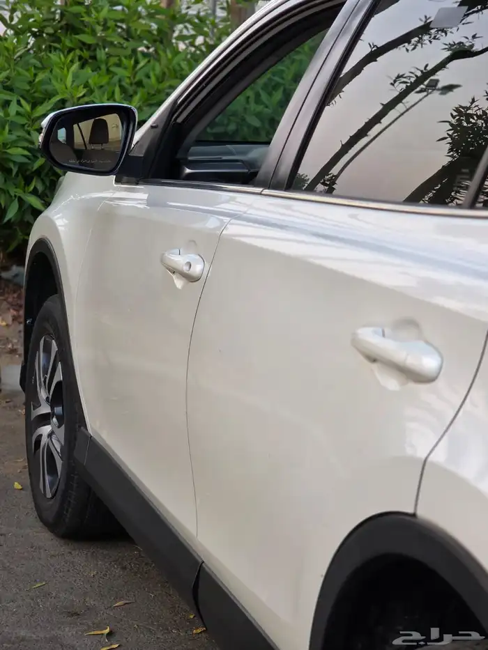 راف فور ستاندر دبل 2017 10