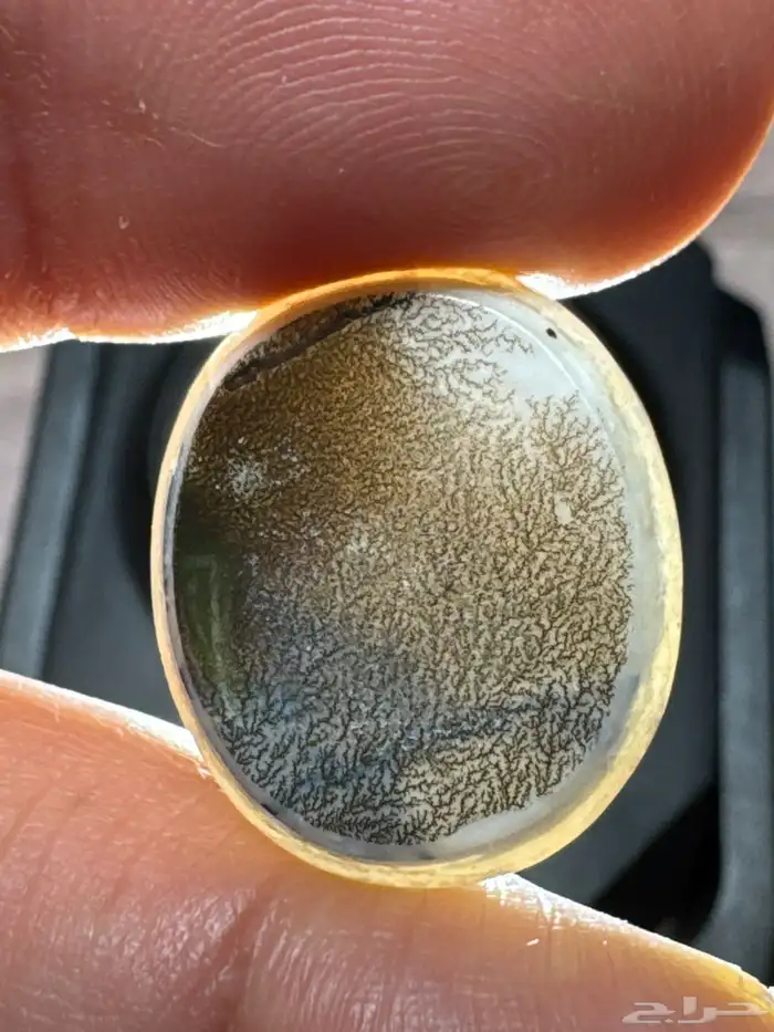 عقيق يماني بقراني شجري نوادر 1