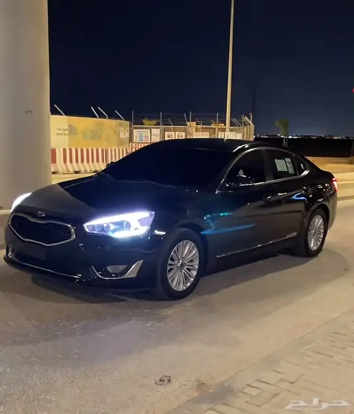 مطلوب   كادينزا 2016 2