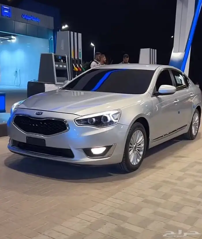 مطلوب كادينزا 2016 0