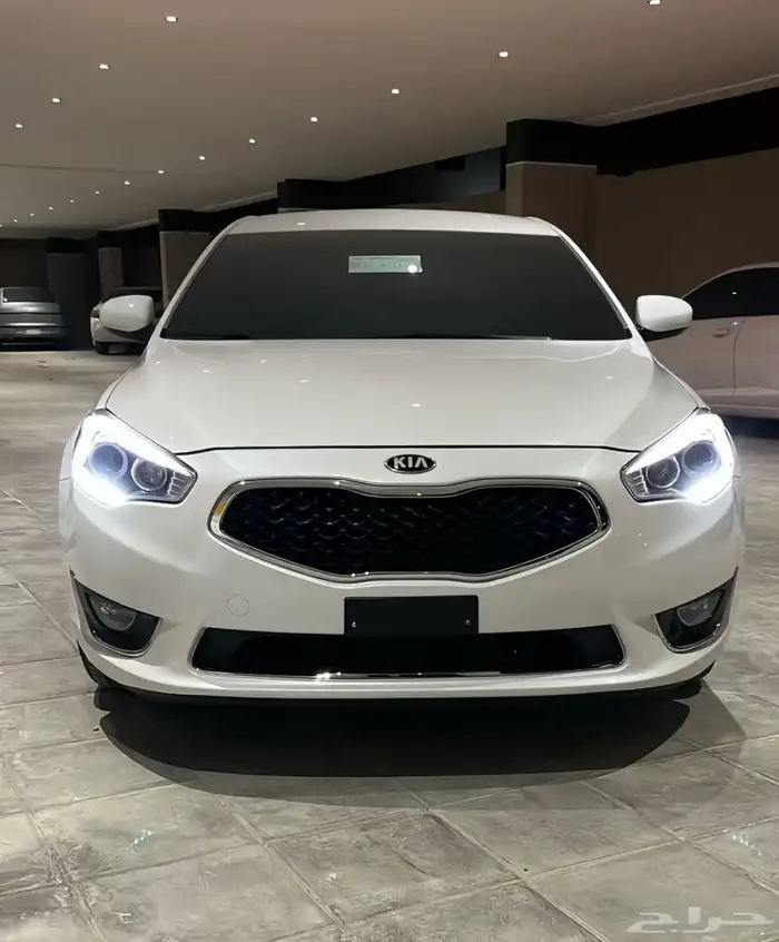 مطلوب   كادينزا 2016 0