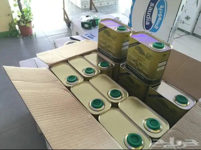 زيت زيتون بسيطا معصرة الجريد عصرة جديدة 1447ه 4