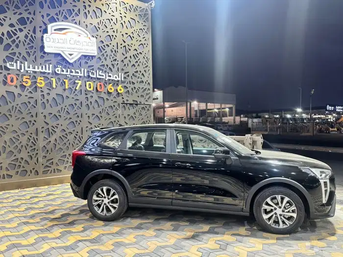 هافال جوليان استاندر 2026 8