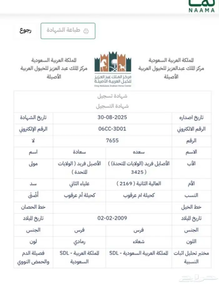 فرس واهو لقحه على ادهم 5