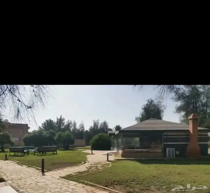 مزرعه الجوهره بالبكيريه 7