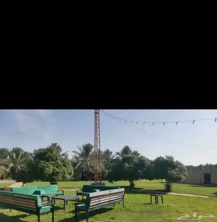 مزرعه الجوهره بالبكيريه 6