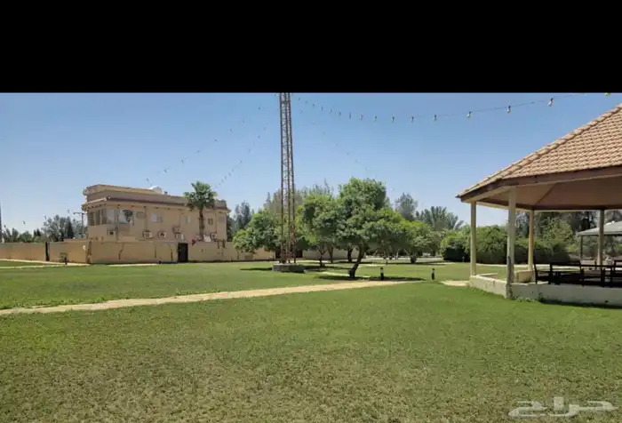 مزرعه الجوهره بالبكيريه 1