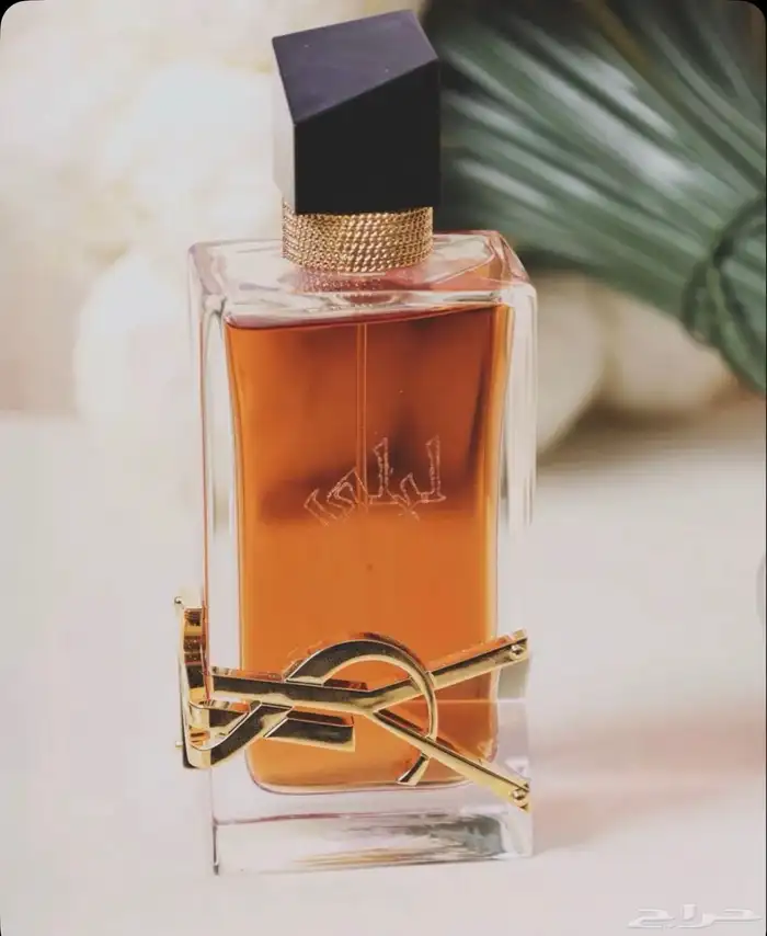 مصورة عرائس جازان 4