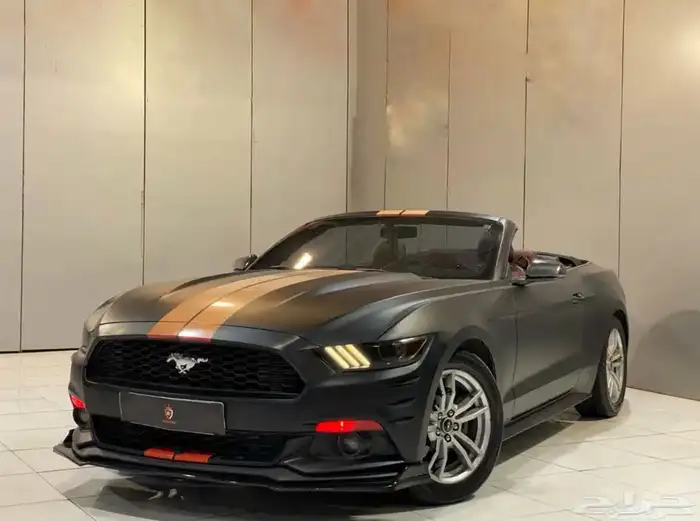 موستنج كشف قمة في النظافه 2017 2